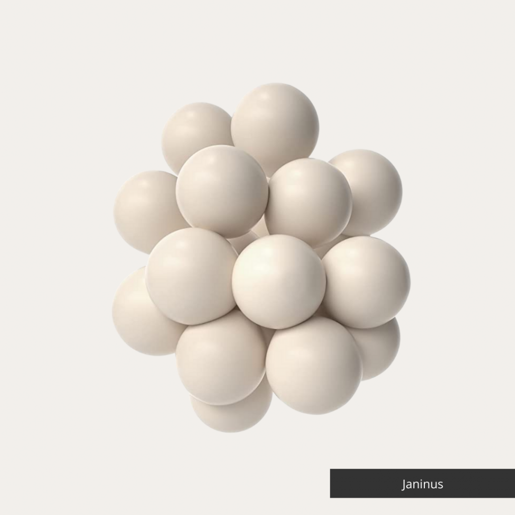 Janinus White Sand Balloons