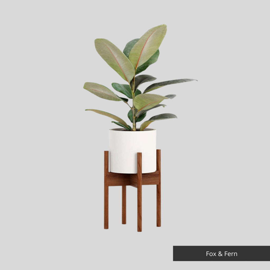 Plant Stand Fox & Fern