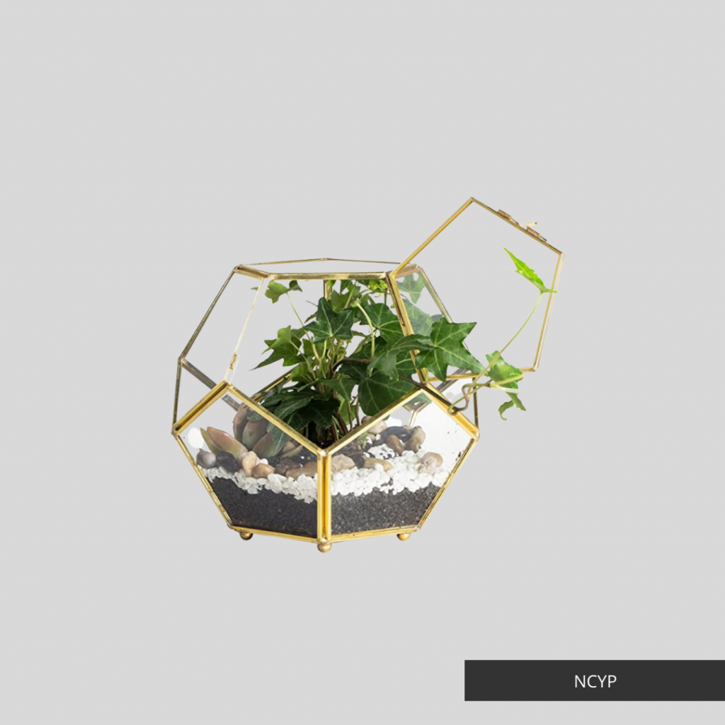 Terrarium by NCYP