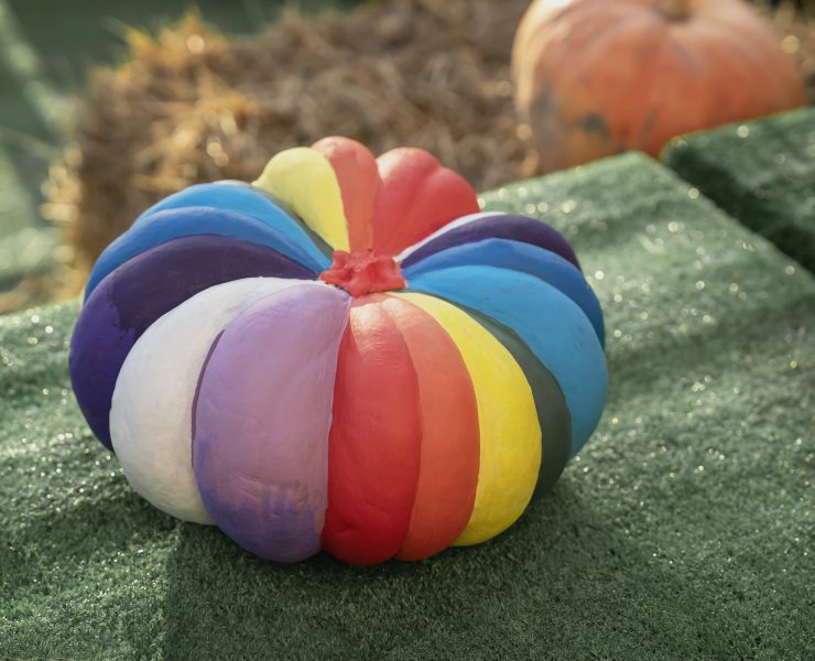Rainbow Painted Pumpkin with Matte Finish