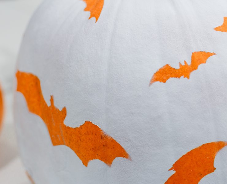 White Pumpkin with Orange Bat Stencil Design